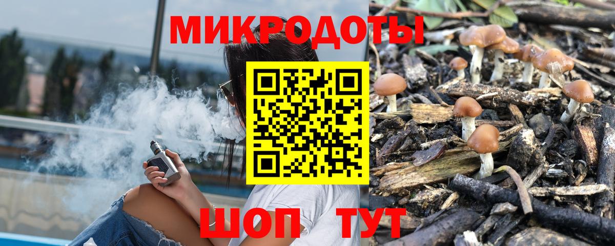 Гудермес  Псилоцибиновые грибы ЛСД  Вход с VPN 