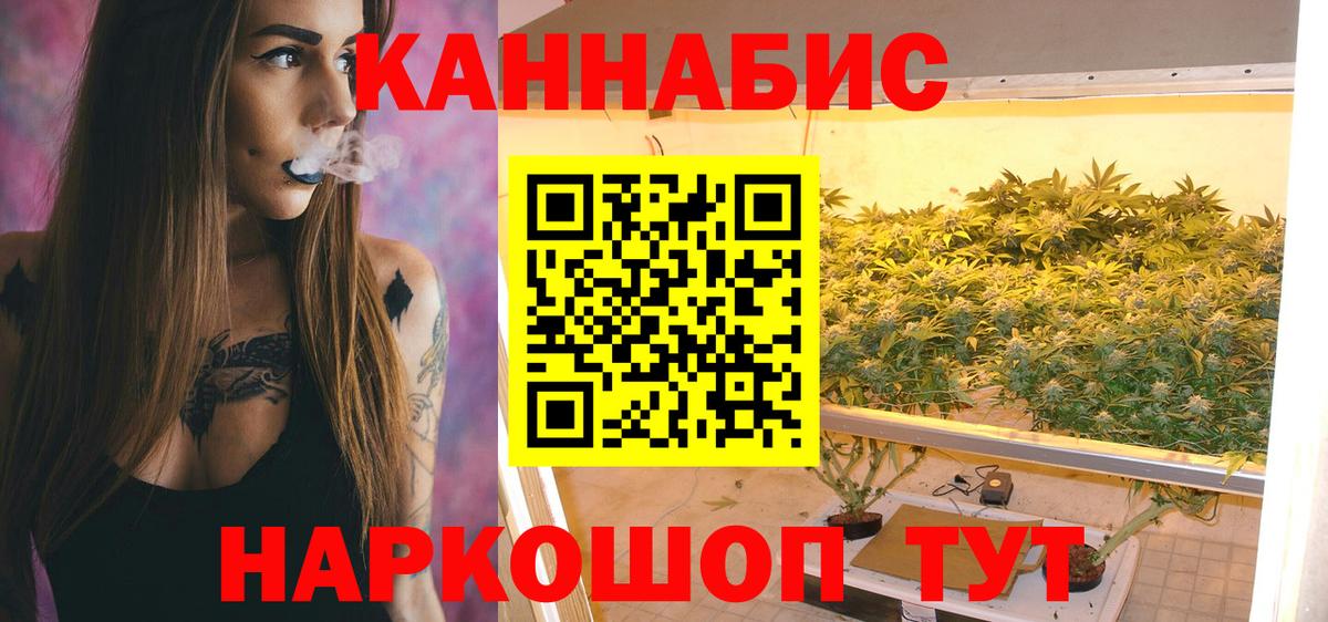 Гудермес  Бошки Шишки гибрид  Вход с VPN  Конопля планчик  Бошки марихуана Amnesia 
